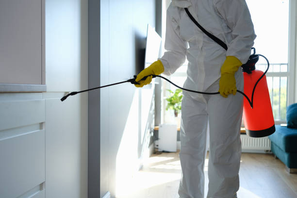  Rossville, GA Mold Removal Pros