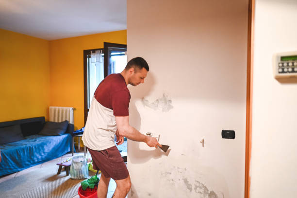 Best Insurance-Related Mold Remediation in Rossville, GA